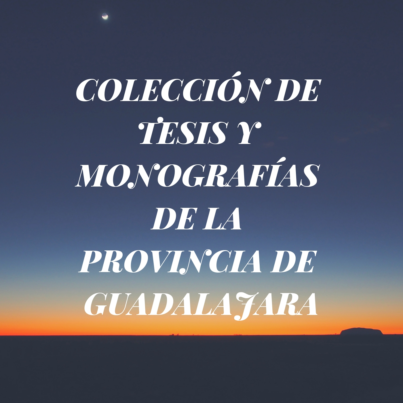 COLECCIÓN DE TESIS Y MONOGRAFÍAS DE LA PROVINCIA DE GUADALAJARA (EDICIONES EN CD/DVD)